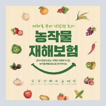 ISO종류